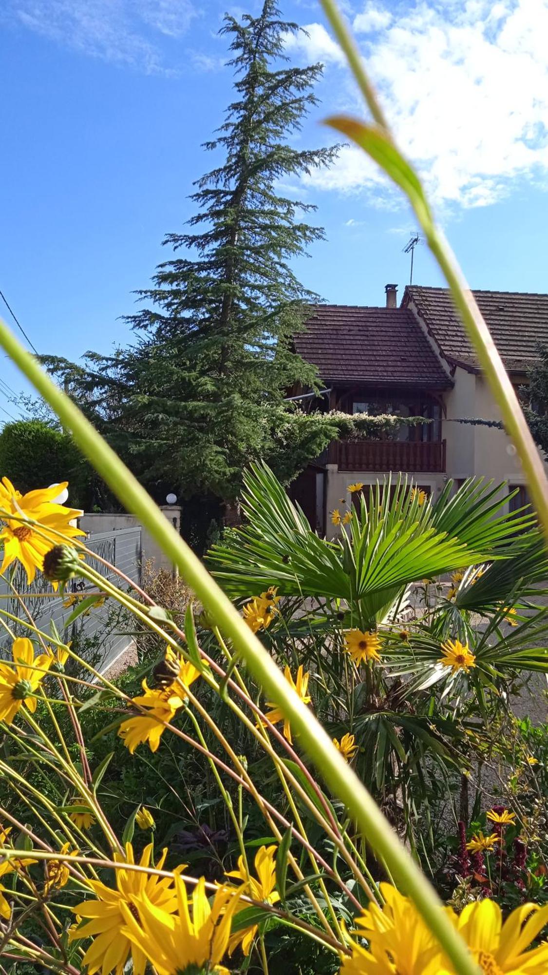 Gite Des Cedres Ferienwohnung A Ameugny Taize Cluny Exterior photo